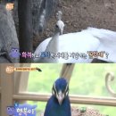 기품농장 이미지