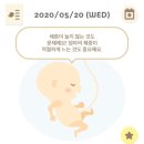 오무이 이미지