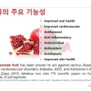 레드시크릿 이미지