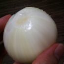 태희농장 이미지