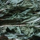 여물소농장 이미지