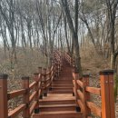 뿌리공원 둘레길 이미지