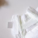 허리샘 바이오 이미지