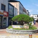 대영연합의원 이미지