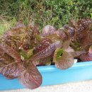 경인고등학교 이미지