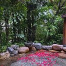 대웅무역 | [중국/샤먼 여행] 난징토루/구랑위 포함 샤먼 3박4일 여행 코스, 샤먼 1월 2월 날씨, 옷차림 가이드