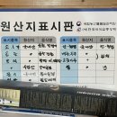 대가집육회 네이버블로그