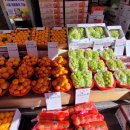 태양청과 이미지