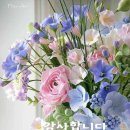 사랑으로 이미지