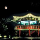 달맞이밤 이미지