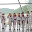 호반태권도 이미지