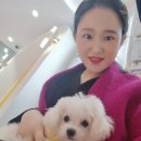 꿀떡 논현점 네이버블로그