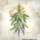 허브 식물과 향기의 이용 이미지