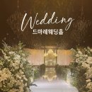 꽃등지 | 평택웨딩홀 드마레웨딩홀 예약 후기 (스드메도 계약)