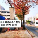 캐빈타운 이미지