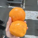 성읍정의현로 | 제주도 성읍칠십리식당 감자국수 단돈9,000원으로 푸짐하게 먹은 후기