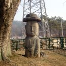 우리지물