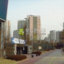 수명로1길 Daum카페