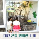 둔산대공원 입구(버스정류장) | 대전곤충생태관 후기 아이와 실내 가볼만한 곳