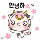 한내회타운 | 대천항맛집 대게 구매후기