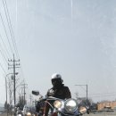 로드킹 코리아 이미지