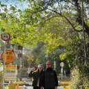 치쿠린 | 교토 여행 l 교토 대나무숲 아라시야마 치쿠린 방문 후기 교토 핸드드립커피