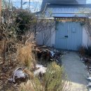 전주 객리단길 감성 독채 숙소 추천 숲과생활 생활동 이용후기 비건브런치 빛의 안부