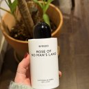 베이스오브바디 | 바이레도 바디로션 로즈오브노맨즈랜드 후기 장미향, 지속력, 보습력 (+지속력 올리는 방법)