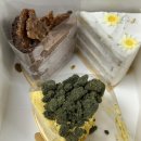 윤대표PC방 | 7월 일상