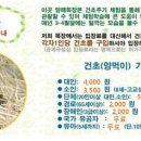 대신목장 이미지