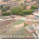 곡성-102 Daum카페