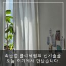 (주) 헤이데이 | 화정속눈썹펌은 이 곳에서, "헤이데이브로우"