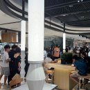 포레드썸머 이미지