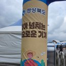 현내리 | 가을여행 포항 기계 농특산물 축제 후기!! 알록달록 은행나무 길 산책까지