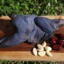 영월동물복지농장 이미지