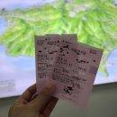 울릉주유소 | 울릉도 3박 4일 여행 일정 및 경비 절약 꿀팁