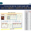 엠.에스 에스테틱