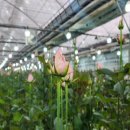 ㈜오투환경 이미지