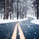 시온의 대로 이미지