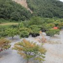 엄소리오토캠핑장 이미지