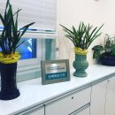 마마라 정신건강의학과 의원 이미지