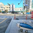 골목시장~새벽시장 횡단보도 이미지