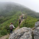 안성리-11 이미지