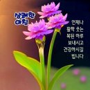 7월11일 뉴스브리핑 이미지