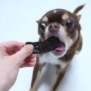 멍멍제과점 이미지