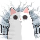 이뮤노팜 이미지