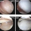 (주)네이처글로벌 이미지