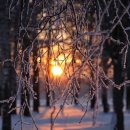 영광의 빛 이미지