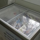 포레스트캐빈앤캠프 이미지