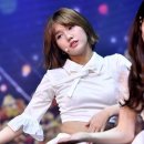 미미 이미지